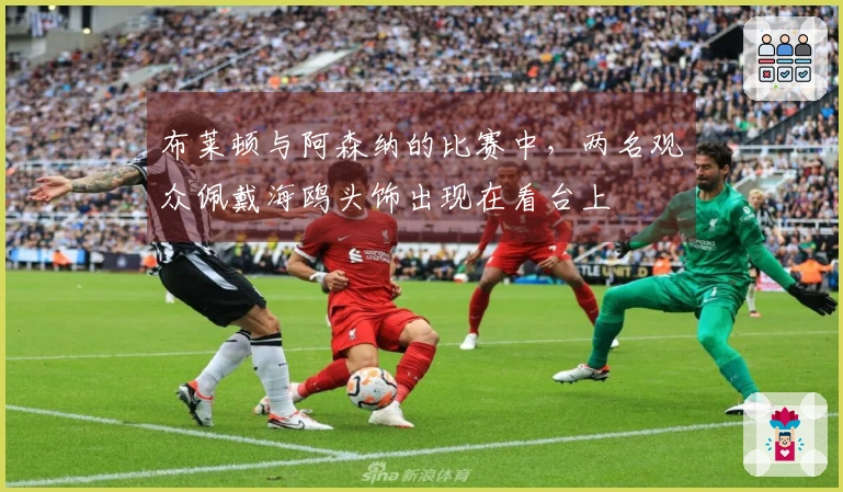 布莱顿与阿森纳的比赛中，两名观众佩戴海鸥头饰出现在看台上