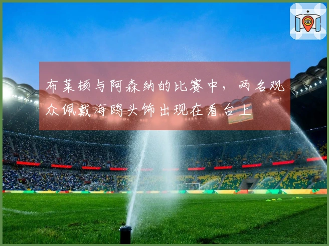 布莱顿与阿森纳的比赛中，两名观众佩戴海鸥头饰出现在看台上